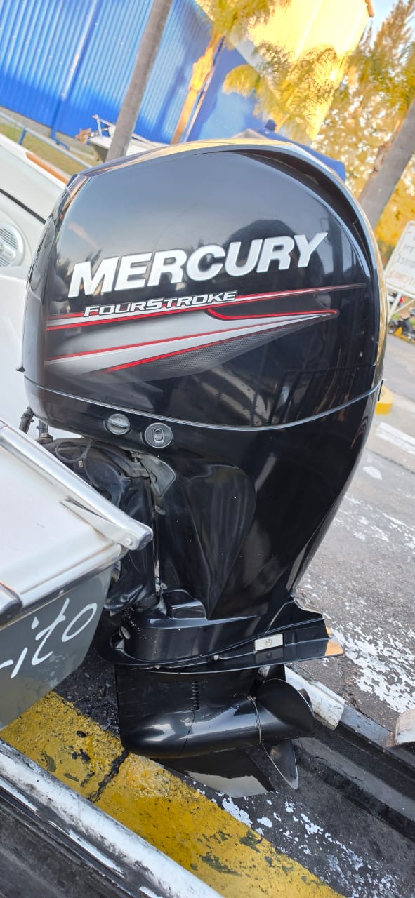 Canestrari 195 open 2017 Mercury 150 hp 